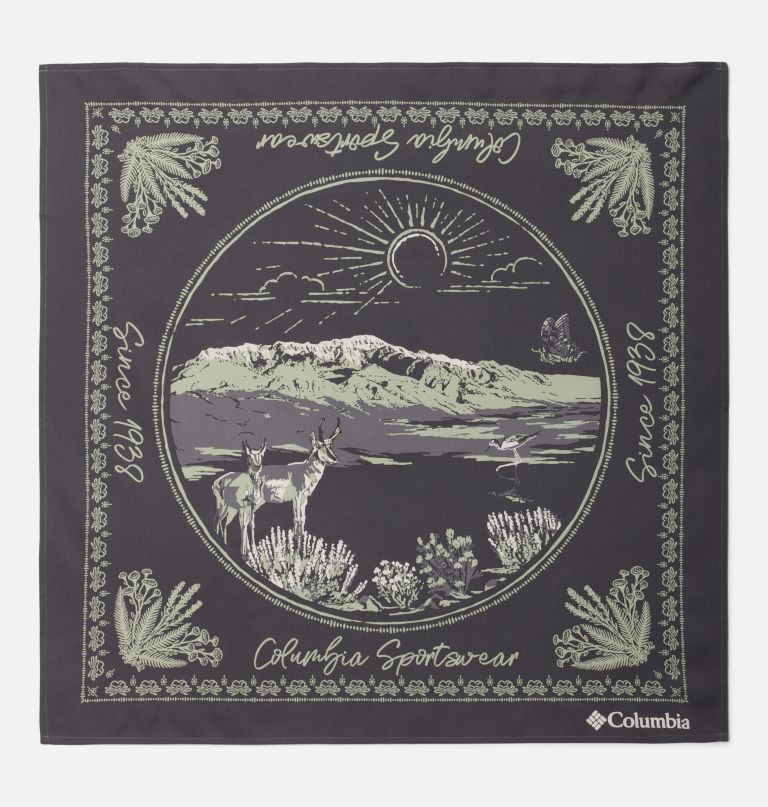 skien valley bandana