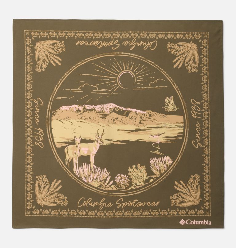 skien valley bandana