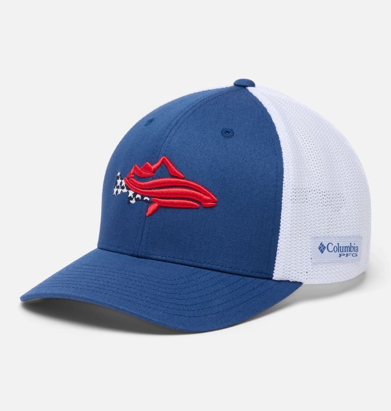 pfg silver bank ball cap