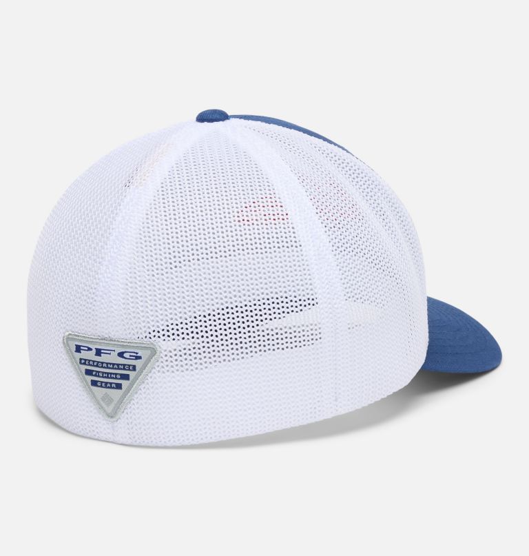 pfg silver bank ball cap