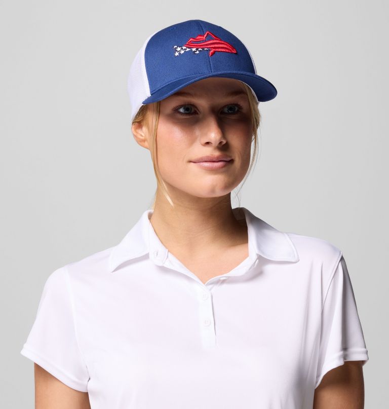 pfg silver bank ball cap