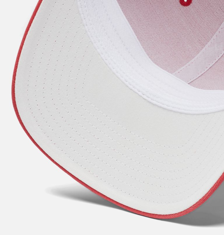 pfg logo mesh ball cap