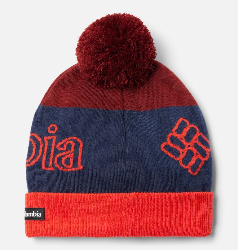polar powder ii beanie