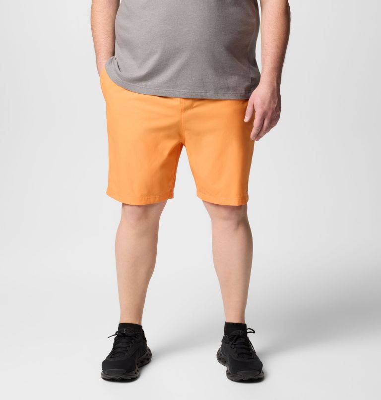 men summertide stretch shorts - big