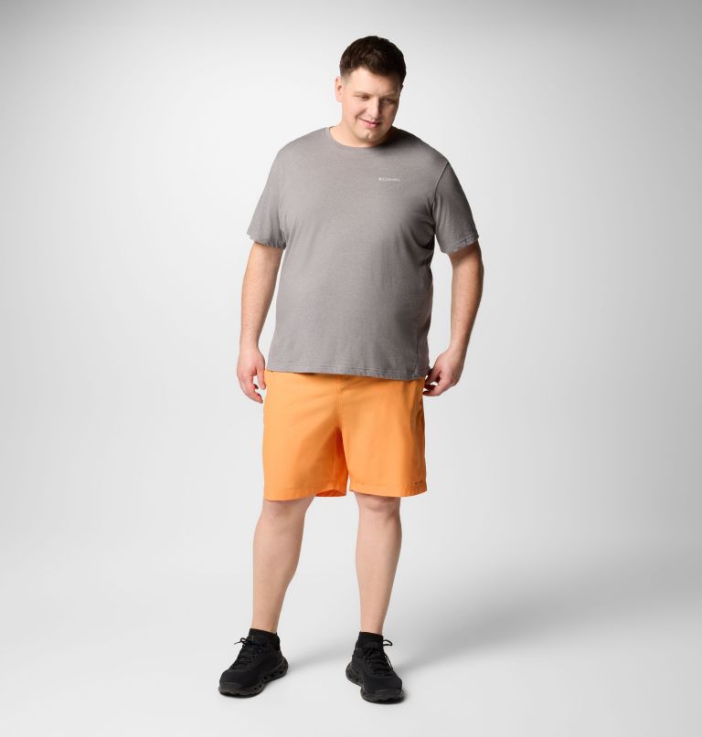 men summertide stretch shorts - big