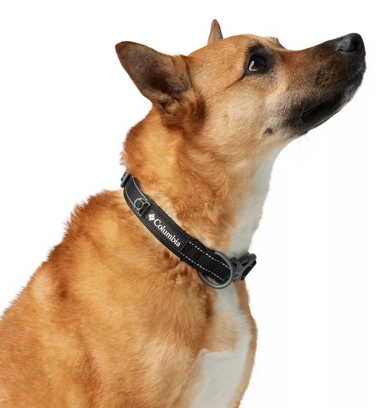 silver ridge dog collar