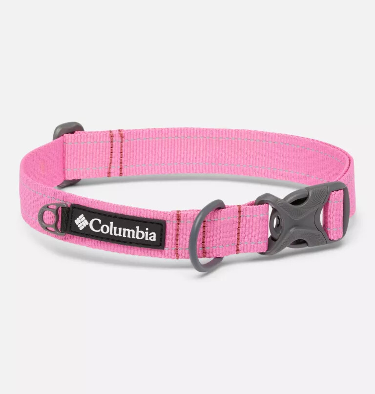 silver ridge dog collar