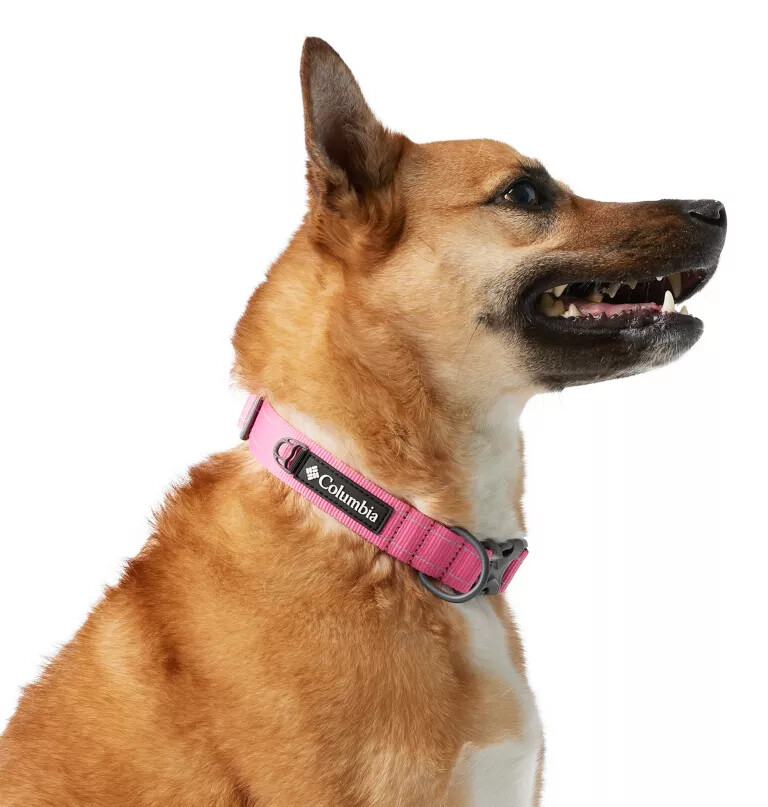 silver ridge dog collar