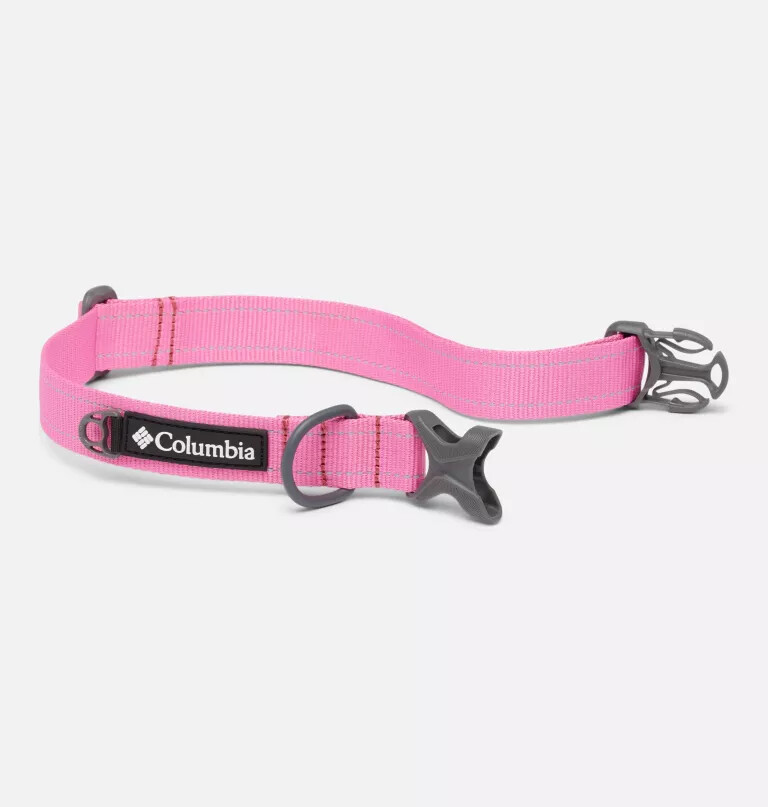 silver ridge dog collar