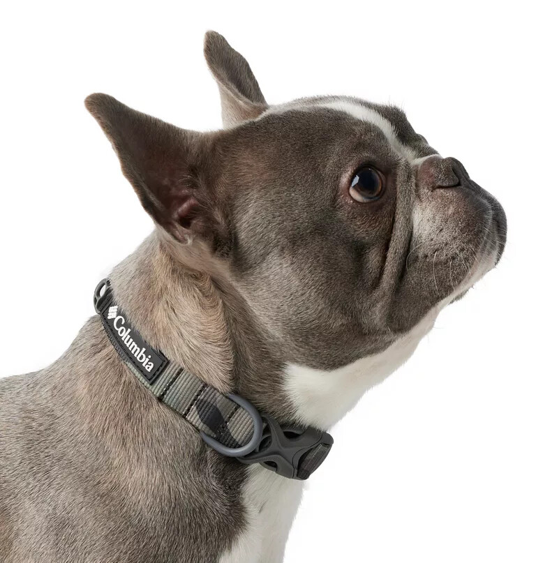 silver ridge dog collar