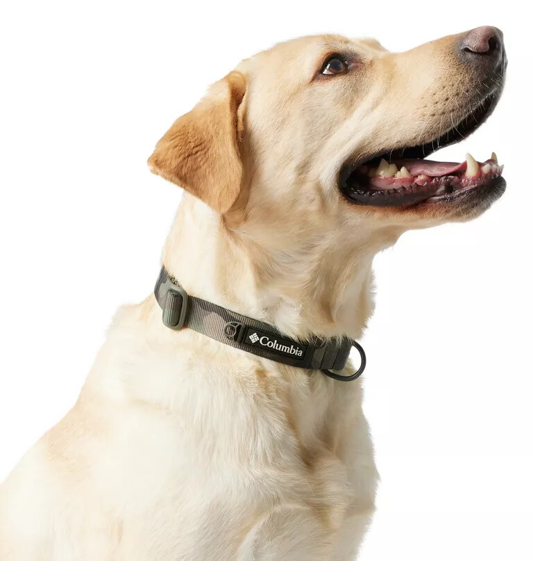 silver ridge dog collar