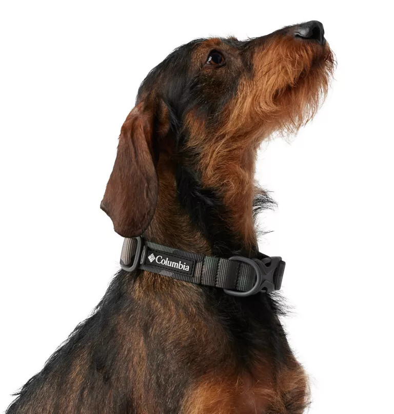 silver ridge dog collar
