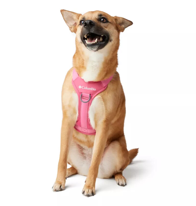 silver ridge dog harness