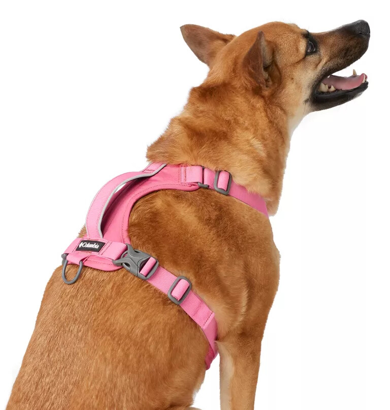 silver ridge dog harness