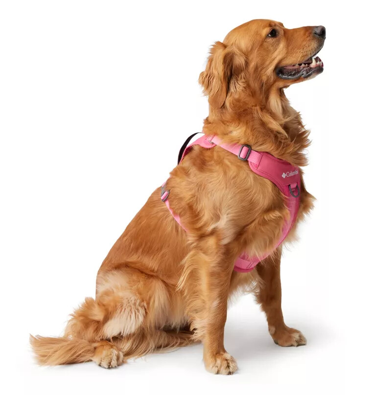 silver ridge dog harness