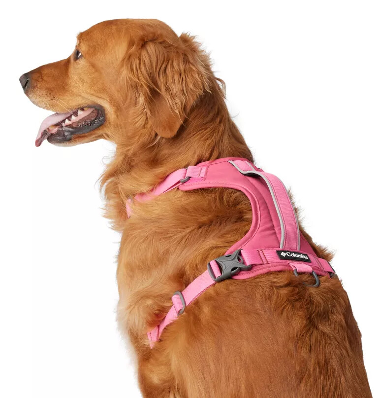 silver ridge dog harness