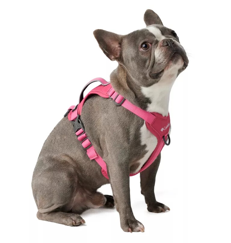 silver ridge dog harness