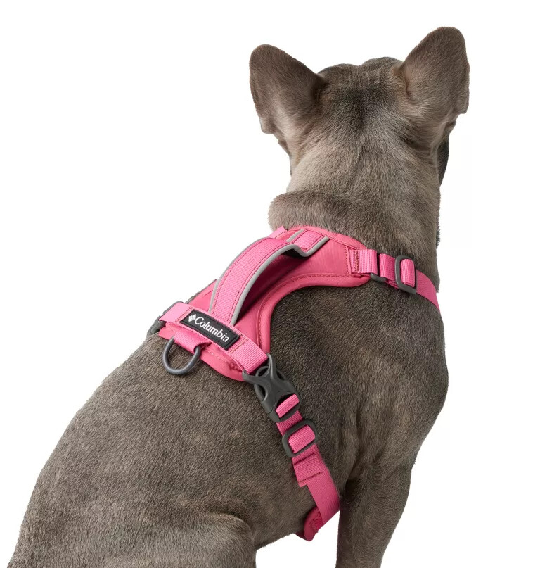 silver ridge dog harness
