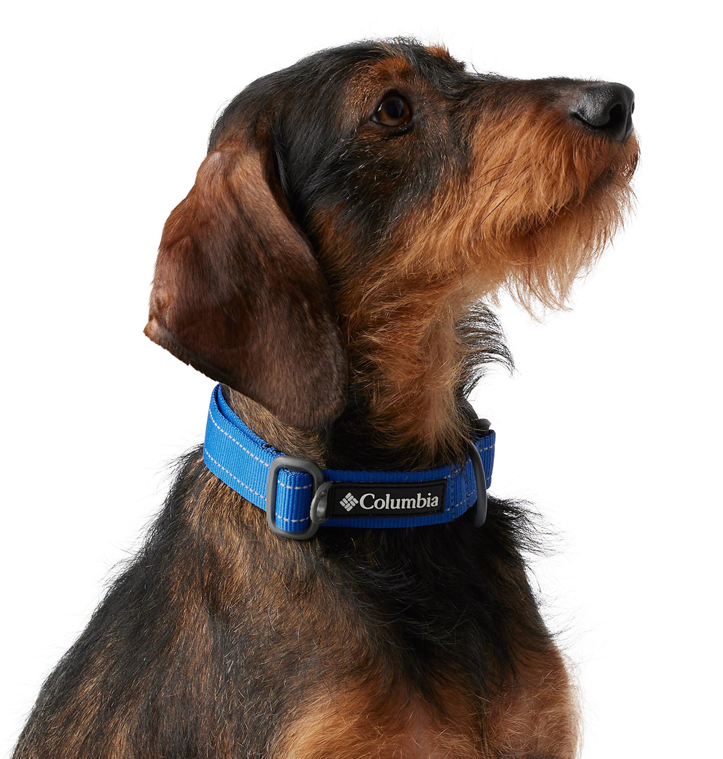 silver ridge hondenhalsband