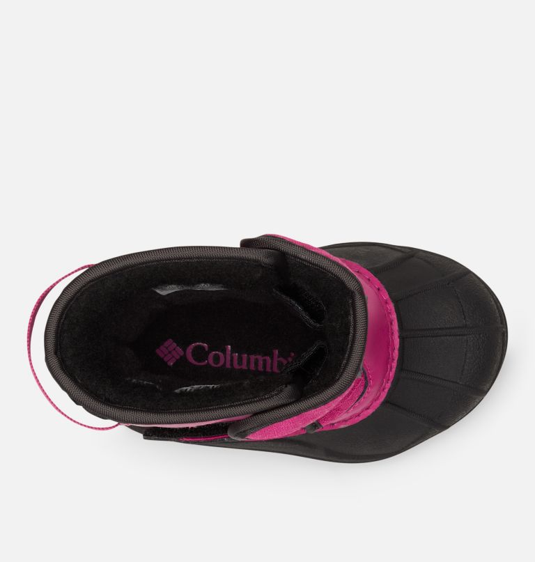 toddler bugaboot celsius strap boot